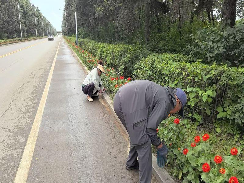 园艺拔草浇花2.jpg