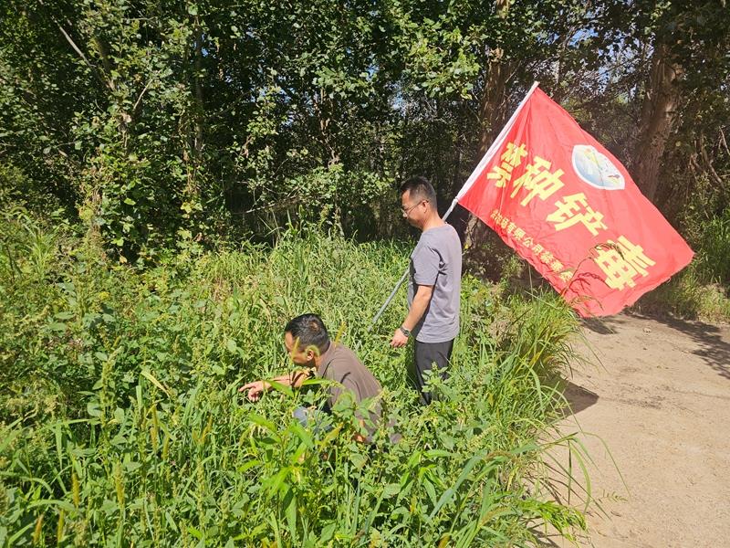禁种铲毒1.jpg