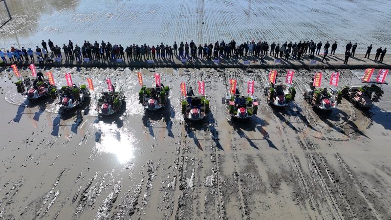 DJI_0491.JPG