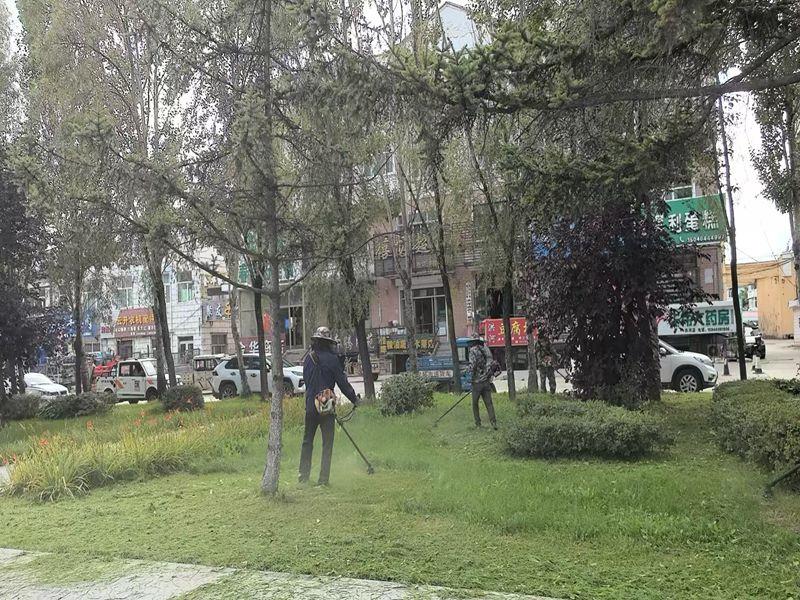 微信图片_20250813145321.jpg