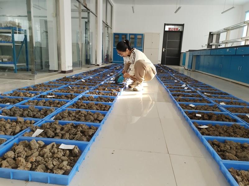 土壤样品处理.jpg