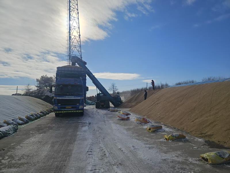 微信图片_20251110090613_1935_3.jpg 微信图片_20251110090613_1935_3.jpg