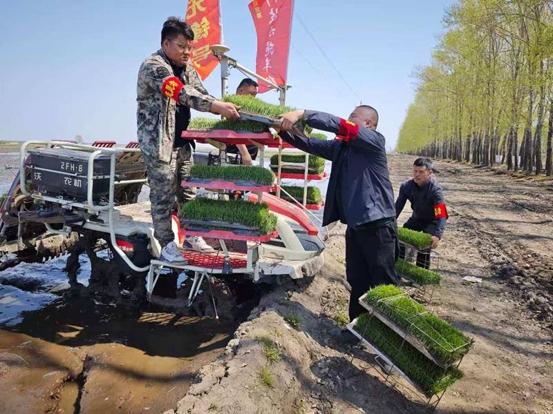 微信图片_20260510141313_9_1006.jpg